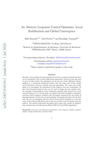 Thumbnail: An Abstract Lyapunov Control Optimizer: Local Stabilization and Global Convergence