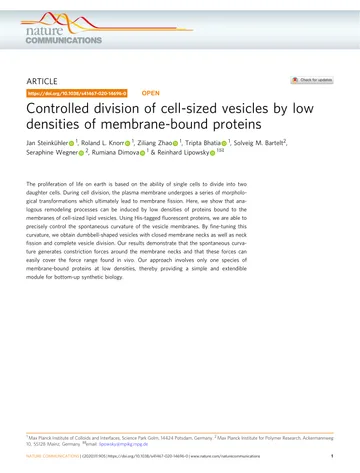 Thumbnail: Controlled division of cell-sized vesicles by low densities of membrane-bound proteins